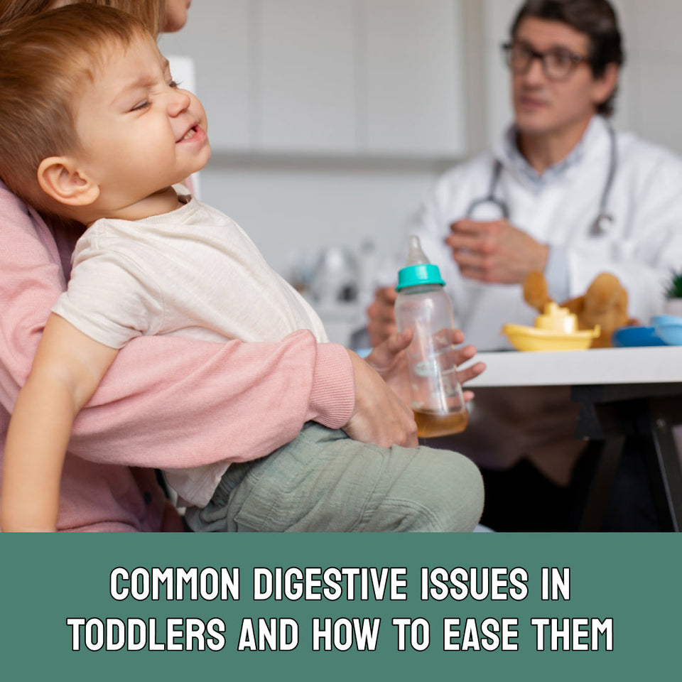 Common Digestive Issues in Toddlers and How to Ease Them