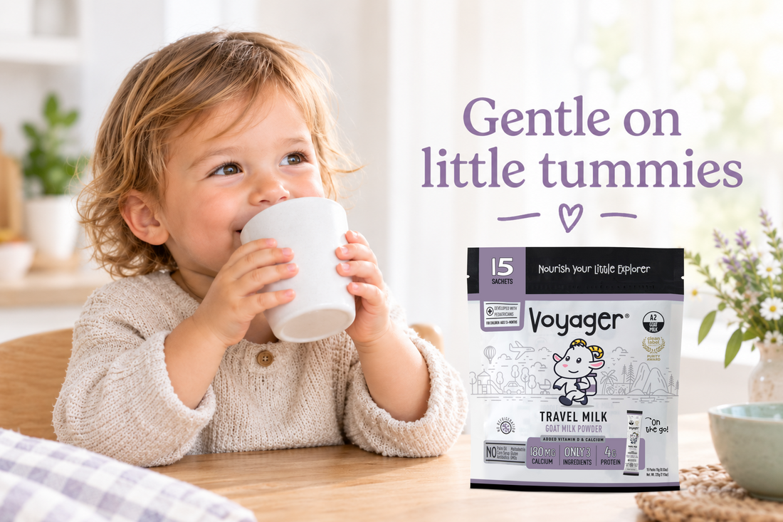 Toddler drinking milk from a cup beside a Voyager Goat Milk sachet