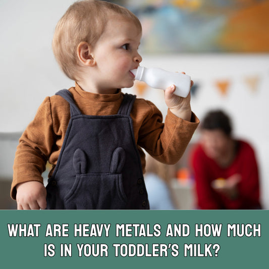 What Are Heavy Metals and How Much Is in Your Toddler’s Milk?