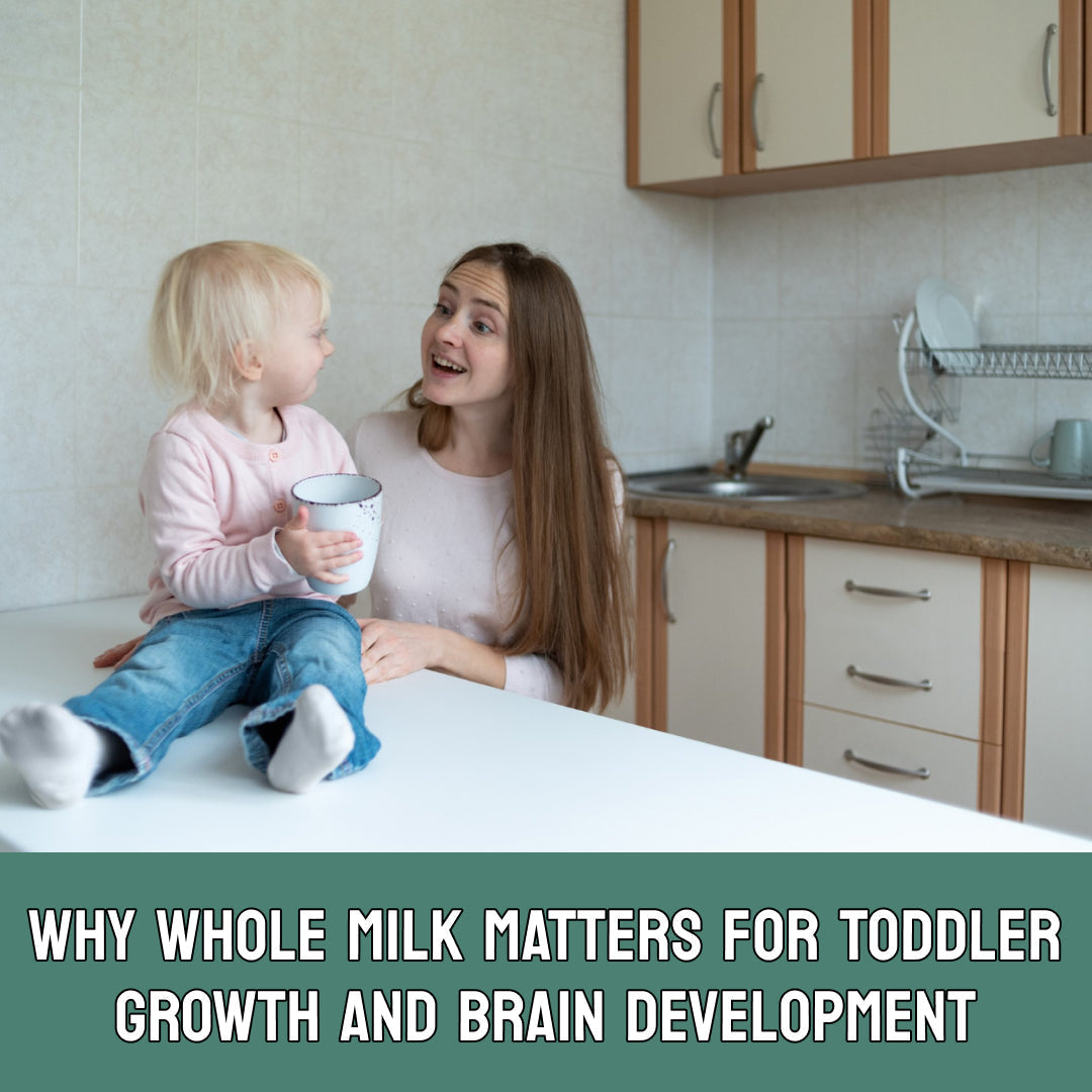 Why Whole Milk Matters for Toddler Growth?
