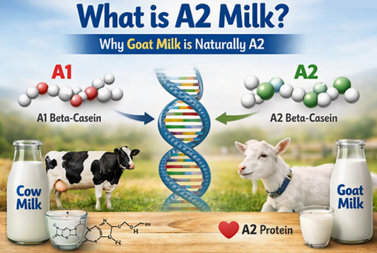 What Is A2 Milk? Why Goat Milk Is Naturally A2