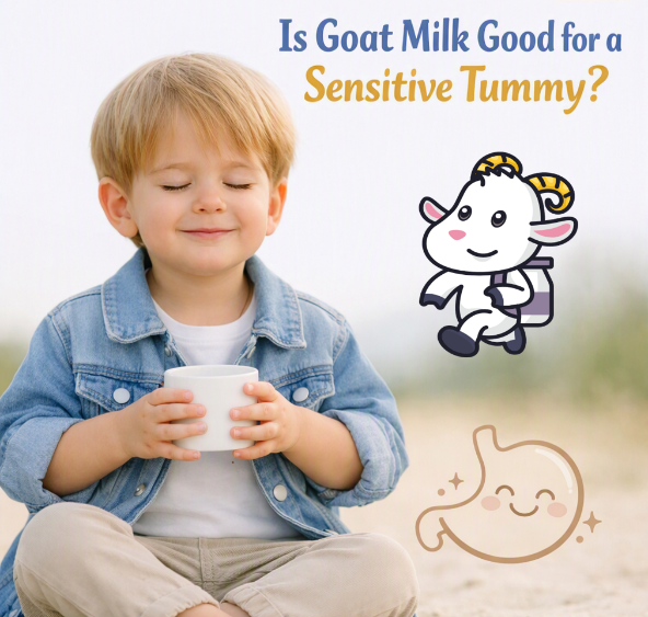 Is Goat Milk Good for a Sensitive Tummy? (And When It Isn't)