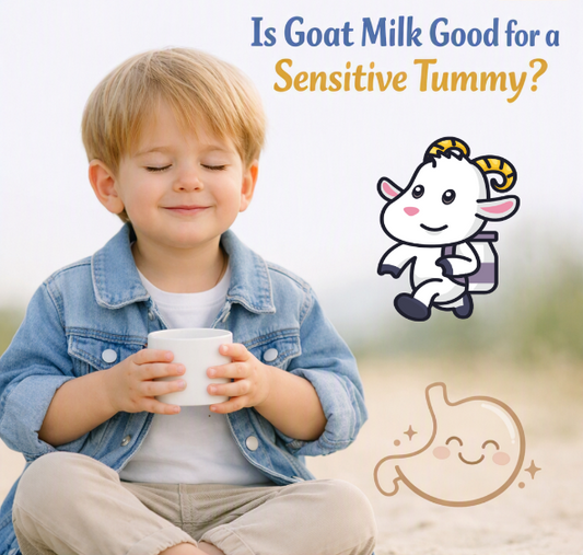Is Goat Milk Good for a Sensitive Tummy? (And When It Isn't)
